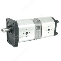 ALHP2/2-B0-X-20/20-T0-E1/E1-E-06 POMPA HYDRAULICZNA