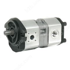 ALHP2/2-A0-X-6/8-S0-F0/L1-E-06 НАСОС ГИДРАВЛИЧЕСКИЙ