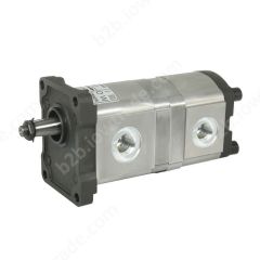 ALHP2/2-B0-X-8/6-T0-L1/L0-F-07 POMPA HYDRAULICZNA
