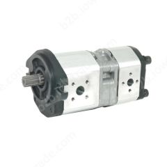 ALHP2/2-A0-X-14/8-T0-F1/E0-E-06 ГИДРАВЛИЧЕСКИЙ НАСОС