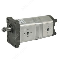 ALHP2/2-B0-X-10/6-T0-E1/E0-E-07 ГИДРАВЛИЧЕСКИЙ НАСОС