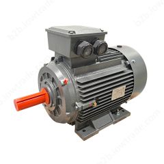 SILNIK ELEKTRYCZNY 3-FAZOWY, IE3 11 kW IEC160 B3 2800 OBROTÓW PTC IE3